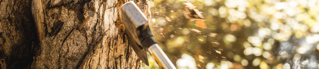 6 Best Felling Axes For Traditional Tree Chopping
